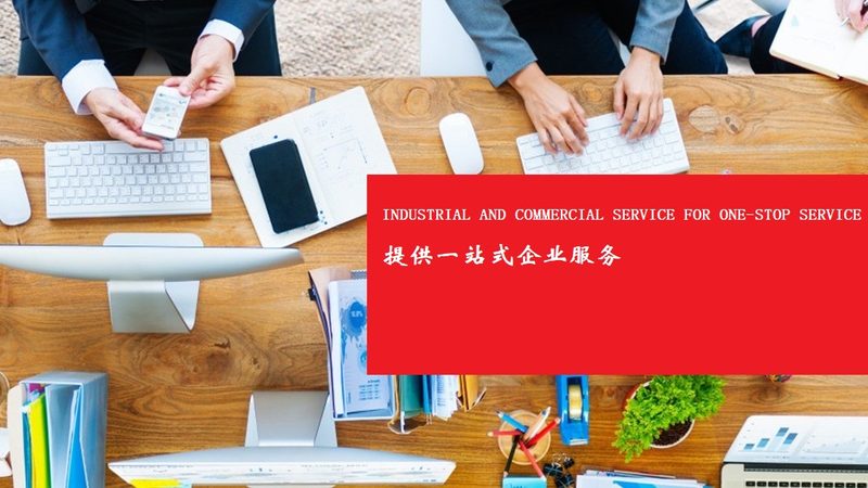 可行性报告评审费用：揭秘其收取规定与考量因素